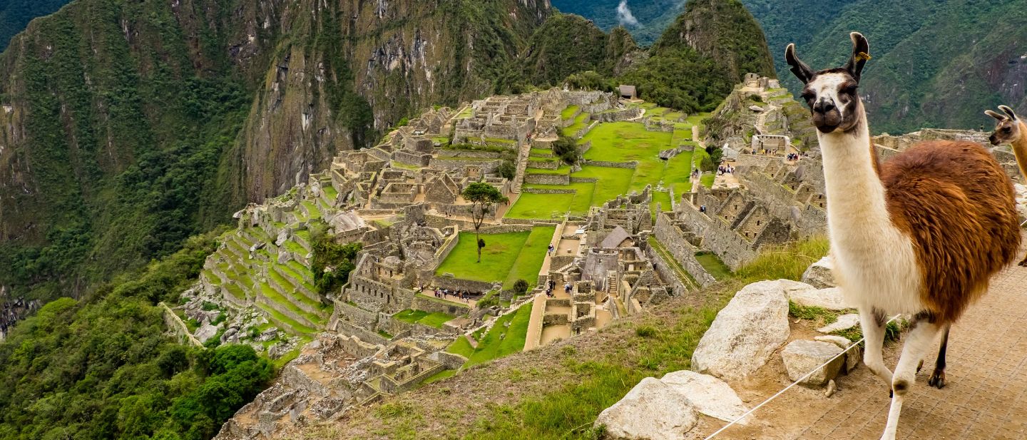 Estravel kelionių agentūra