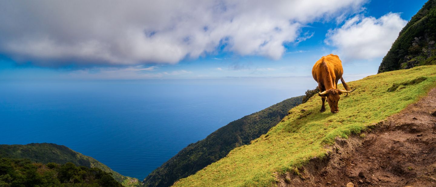 Estravel kelionių agentūra