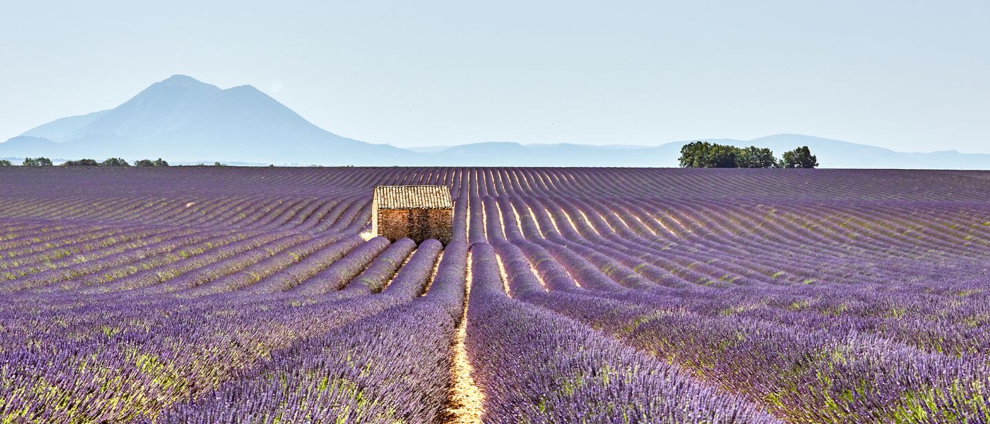 Estravel kelionių agentūra