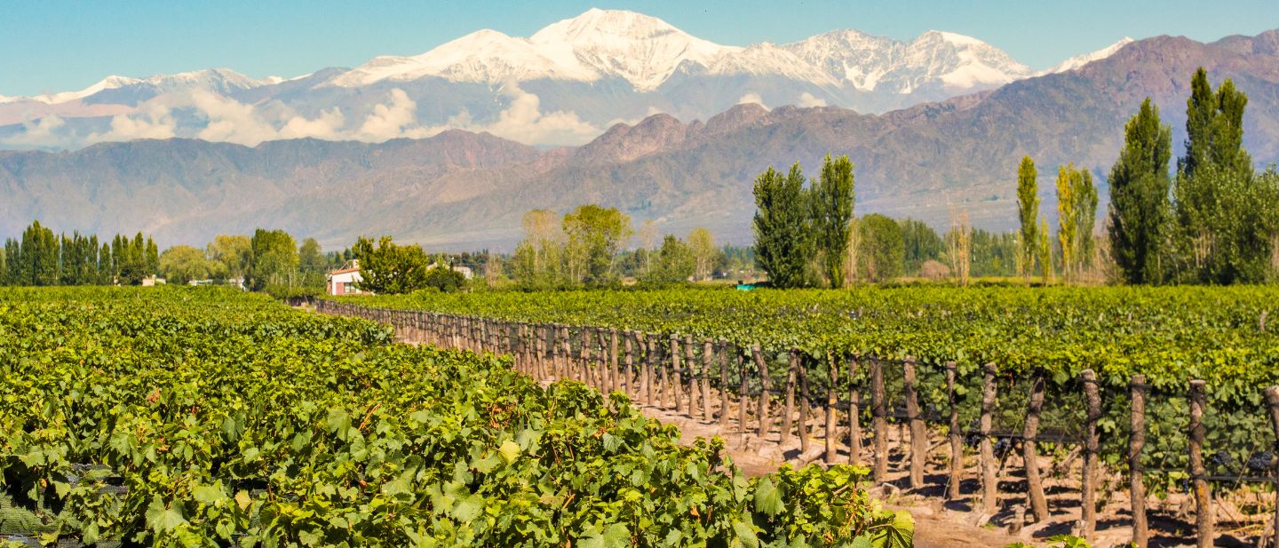 Estravel kelionių agentūra