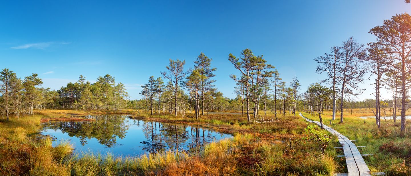 Estravel kelionių agentūra