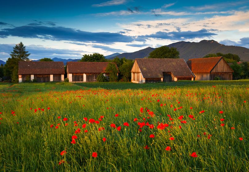 Estravel kelionių agentūra