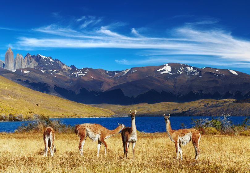 Estravel kelionių agentūra