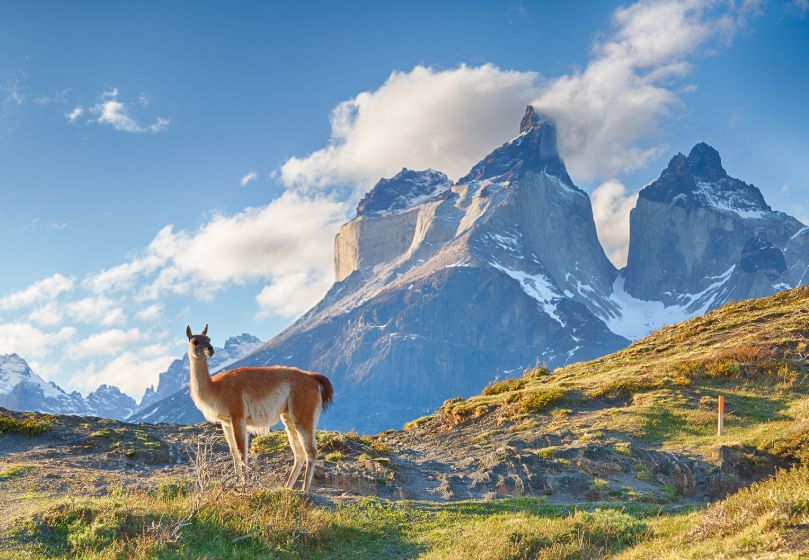 Estravel kelionių agentūra