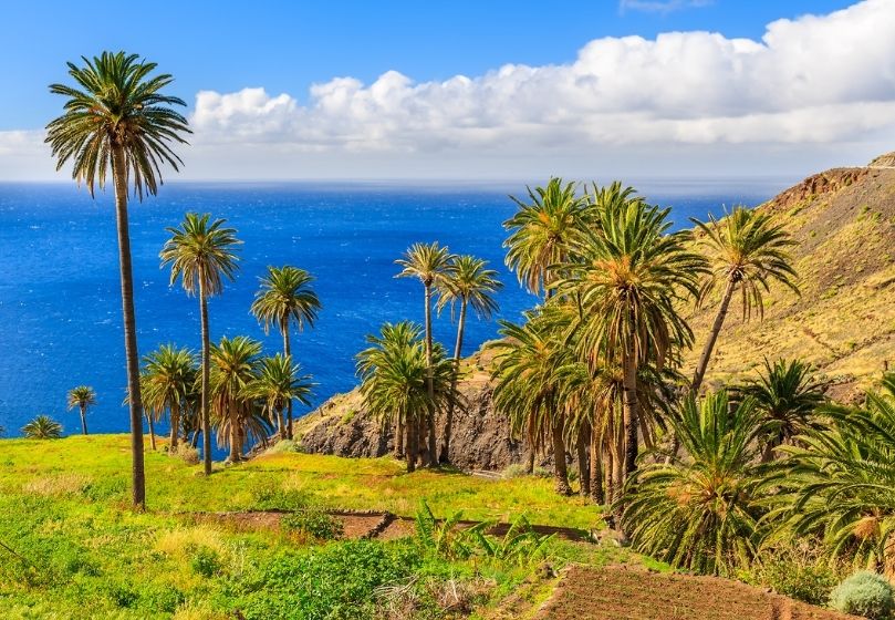 Estravel kelionių agentūra