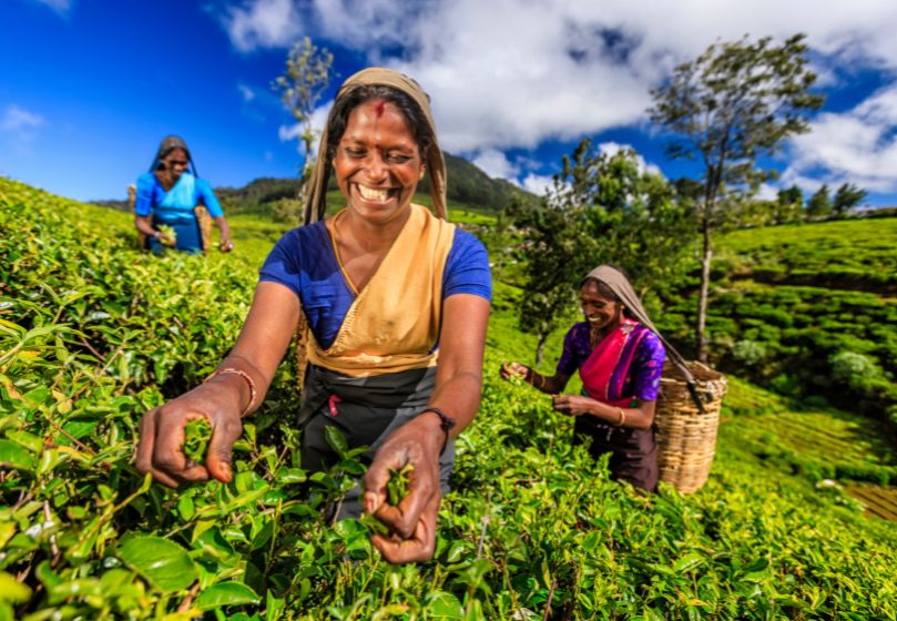 Estravel kelionių agentūra