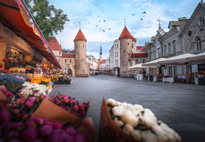 Estravel kelionių agentūra