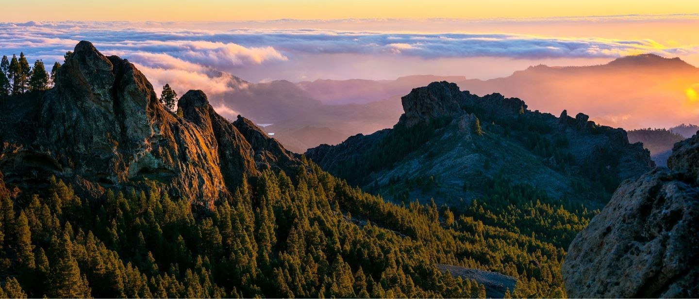 Estravel kelionių agentūra