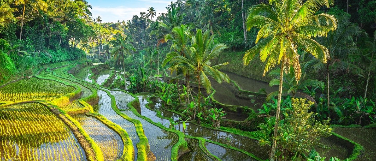 Estravel kelionių agentūra