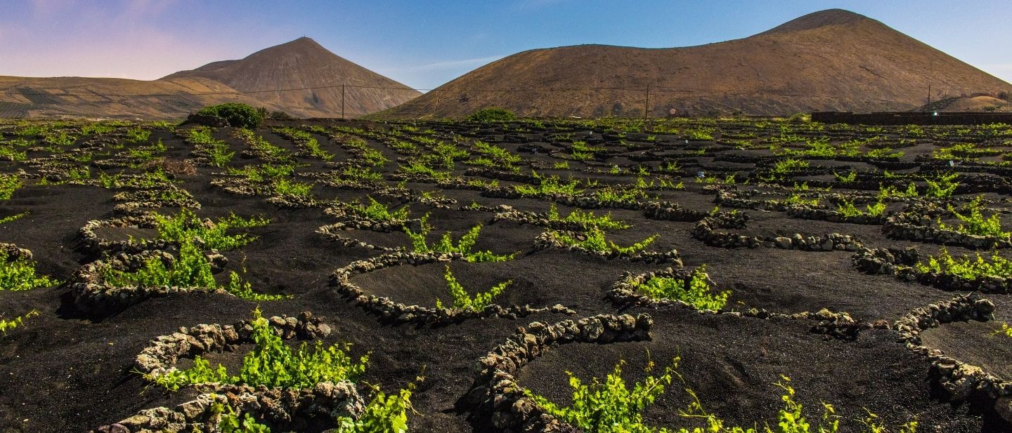 Estravel kelionių agentūra