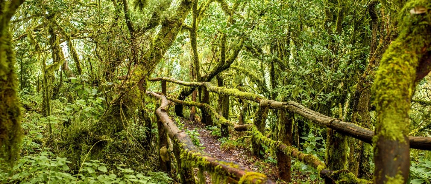 Estravel kelionių agentūra