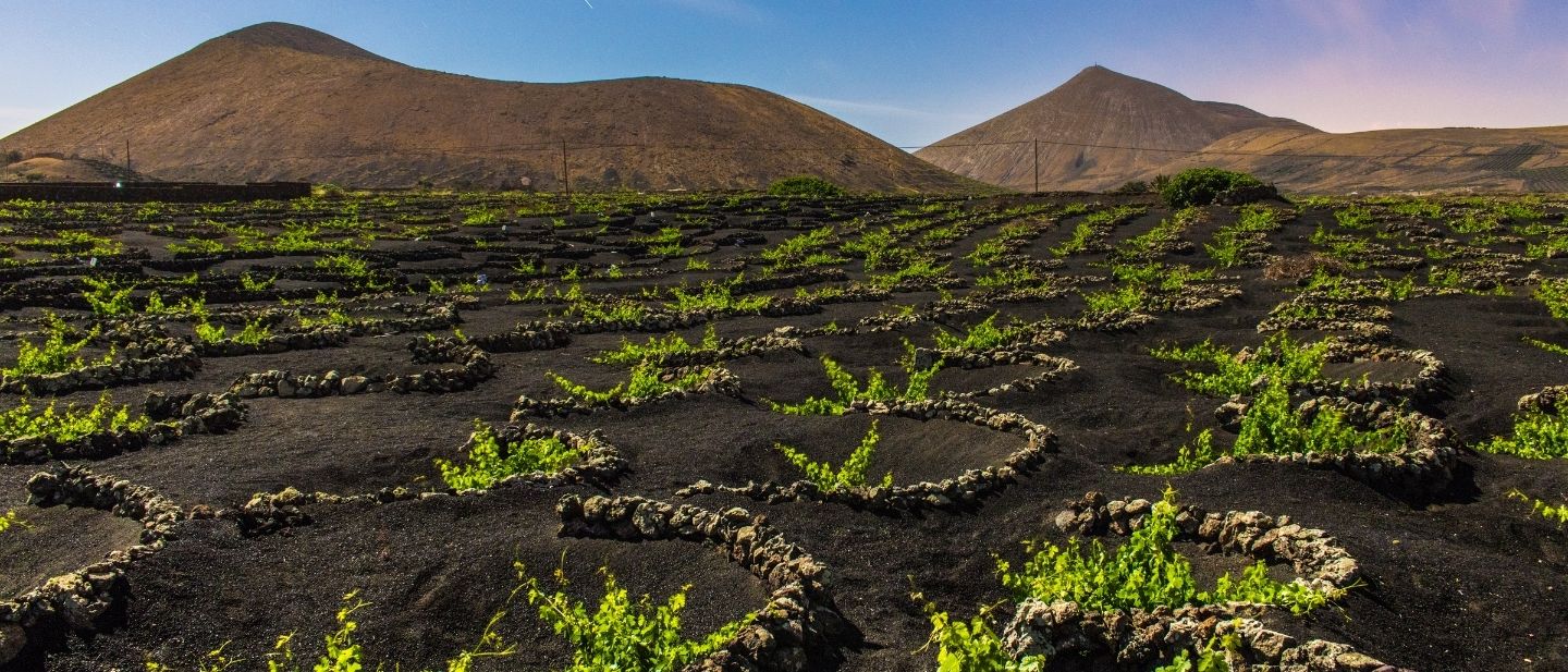 Estravel kelionių agentūra
