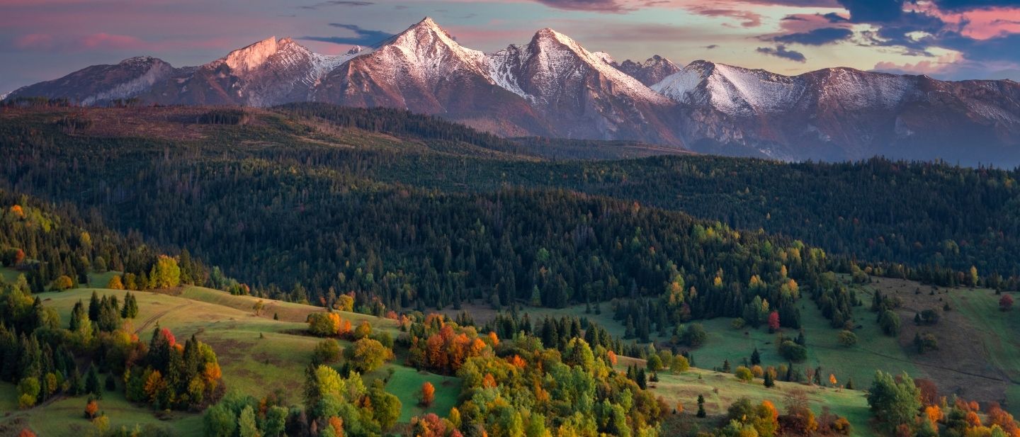 Estravel kelionių agentūra