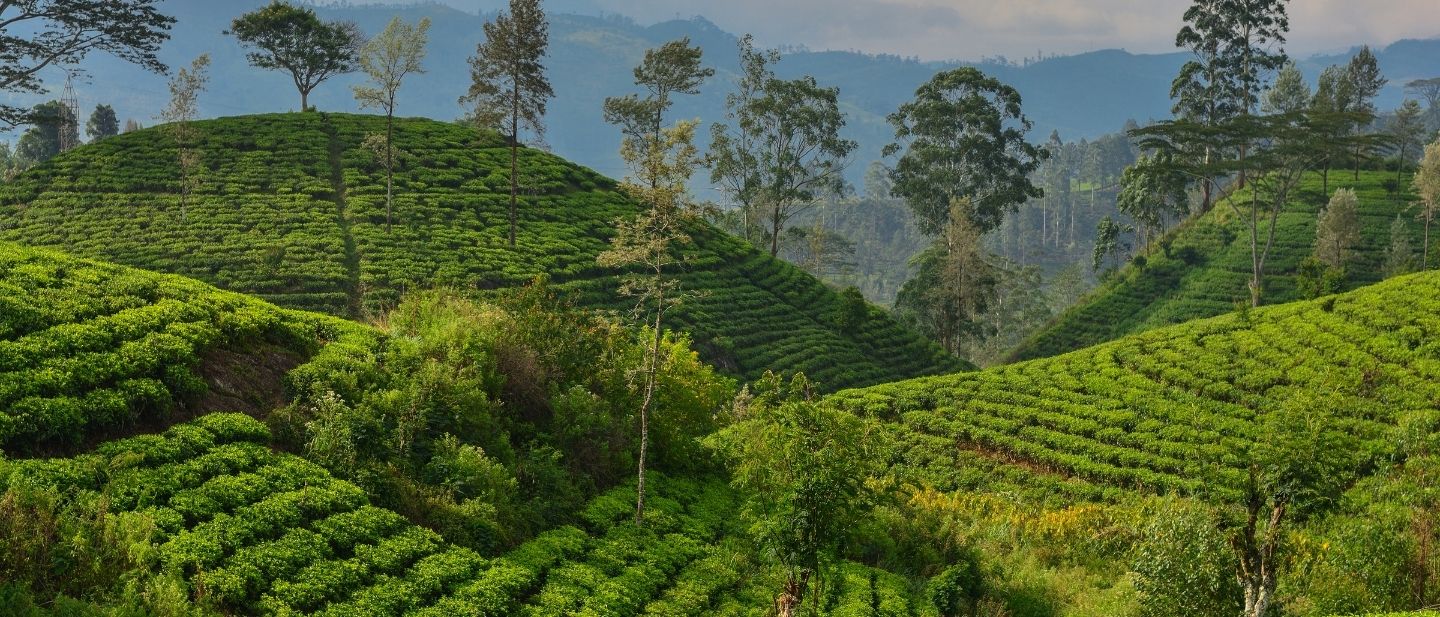 Estravel kelionių agentūra