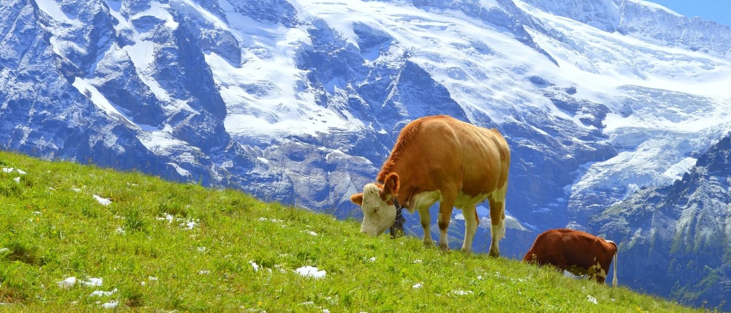 Estravel kelionių agentūra