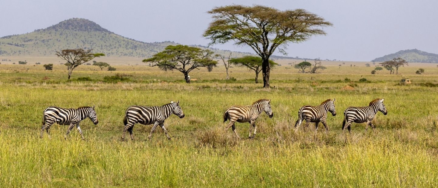 Estravel kelionių agentūra