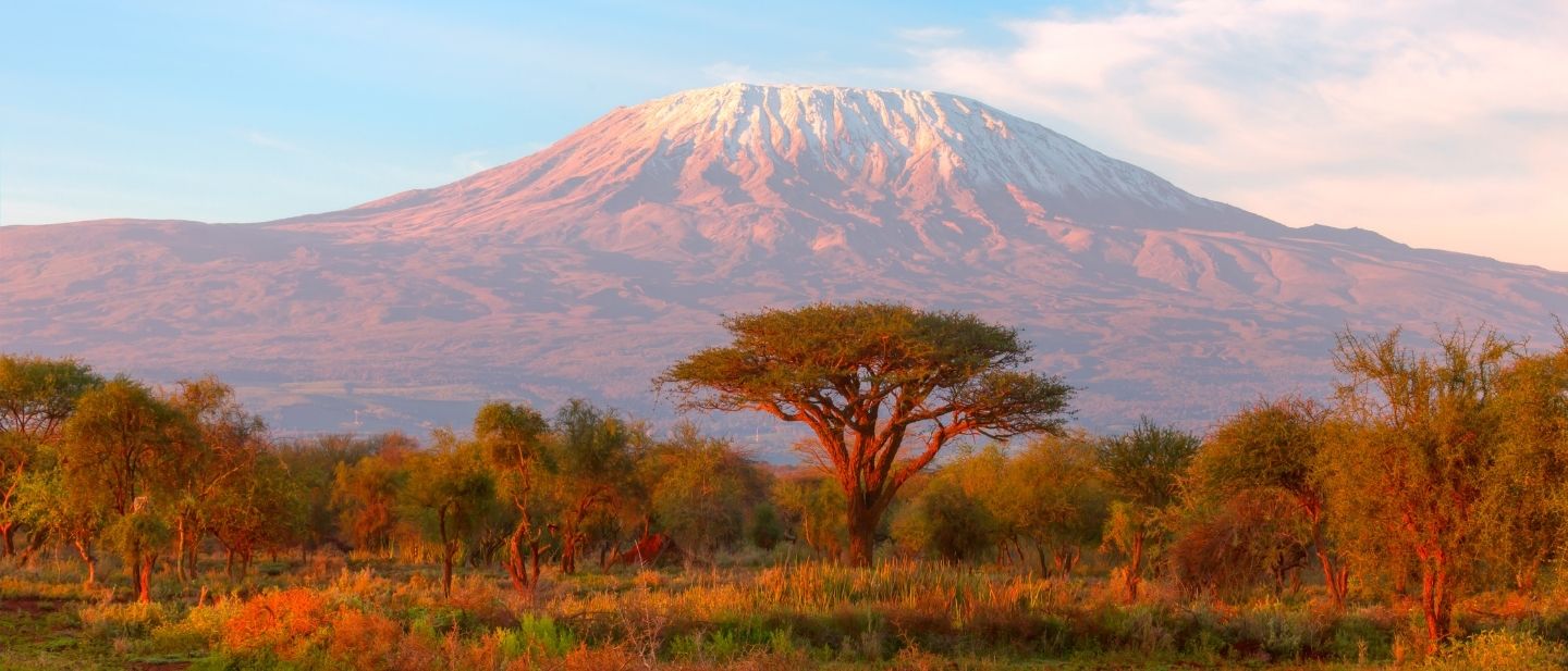 Estravel kelionių agentūra