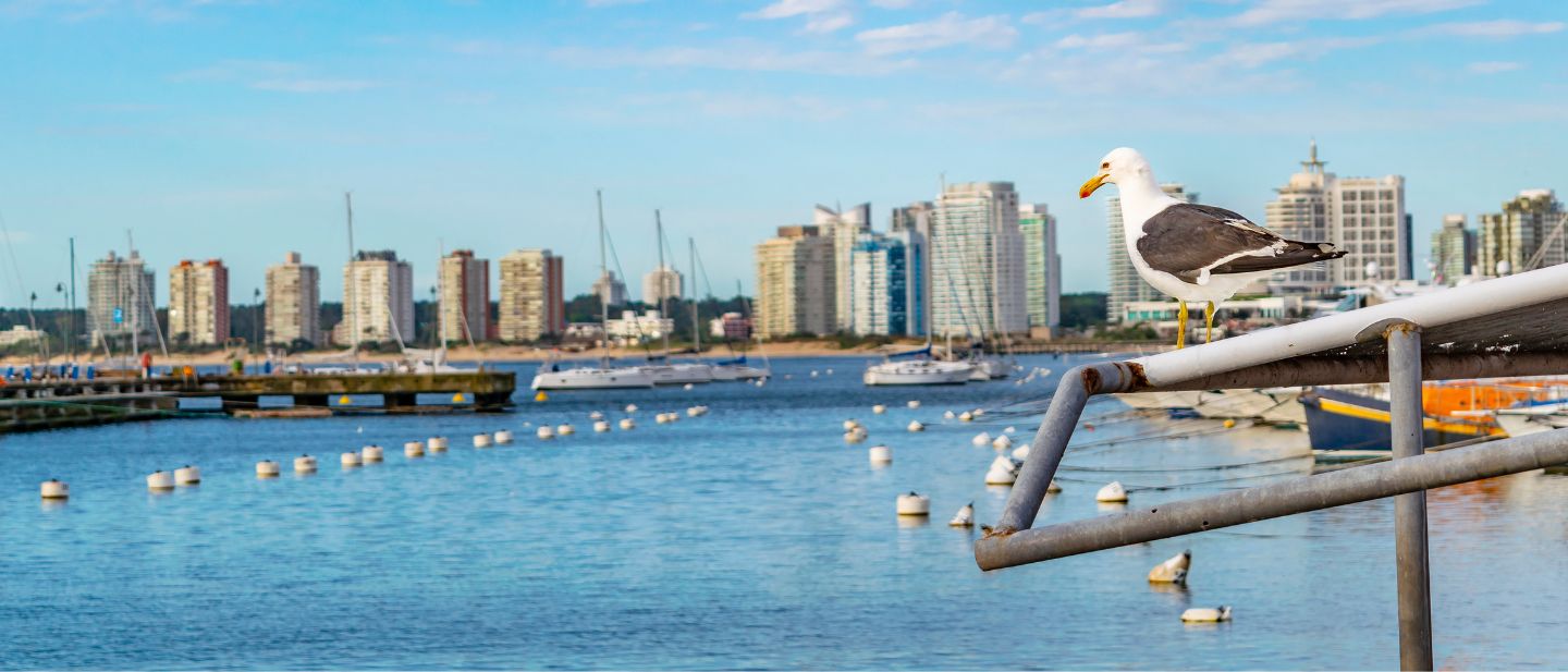 Estravel kelionių agentūra