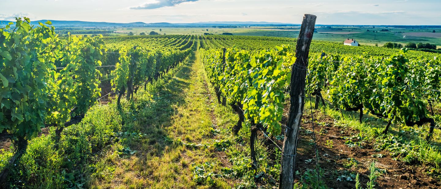 Estravel kelionių agentūra