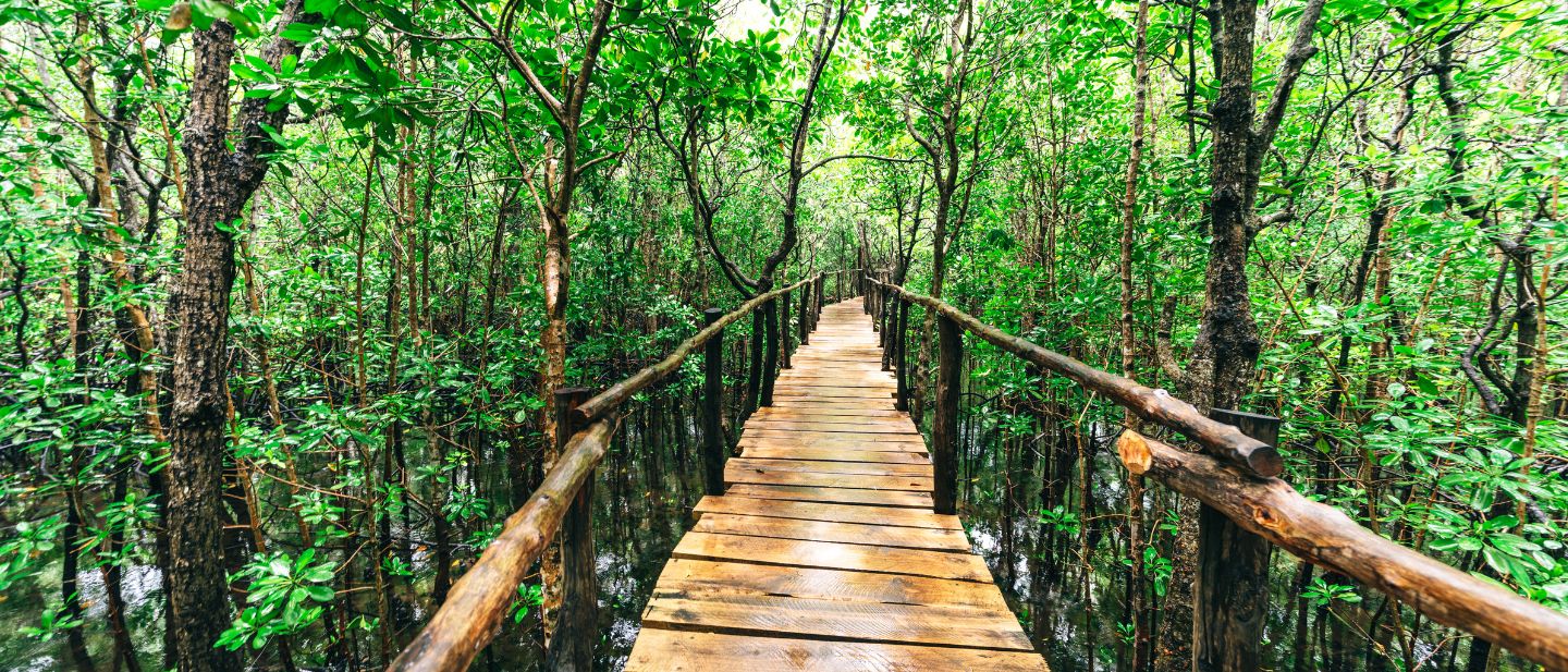 Estravel kelionių agentūra