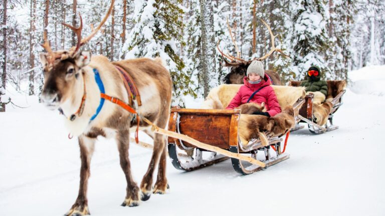 Kelionė į Laplandiją lėktuvu