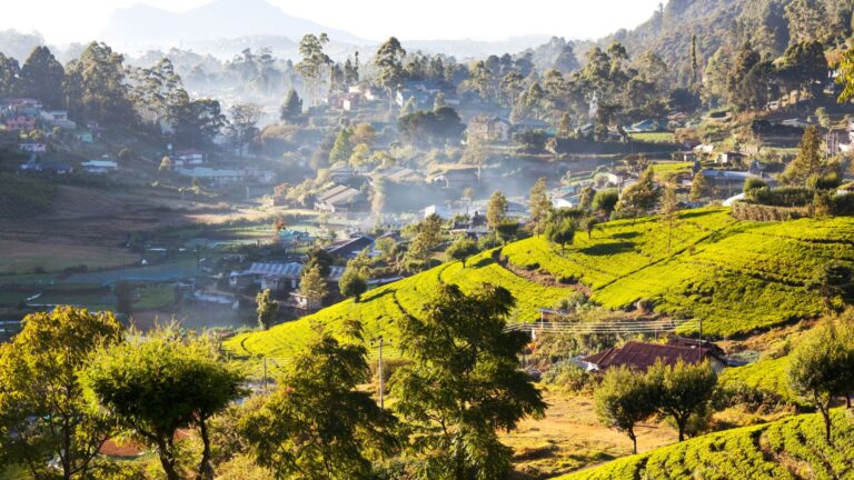 Pažintinė kelionė į Šri Lanką ir poilsis prie vandenyno