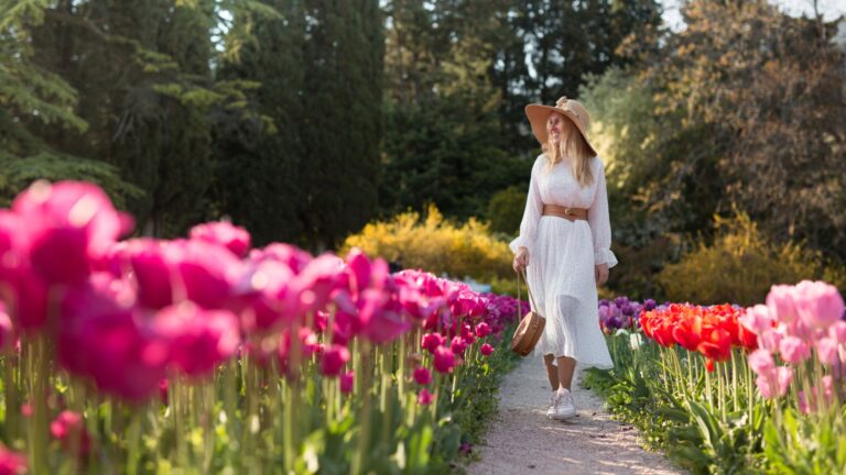 Upių kruizas Europoje po tulpių žydėjimo vietas