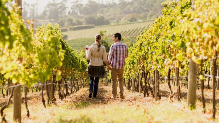 Upių kruizas po Bordo regioną