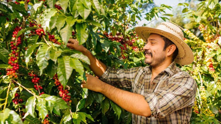 Magdalenos upės kruizas Kolumbijoje