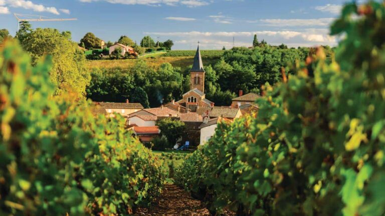 Upių kruizas po Burgundijos ir Provanso regionus