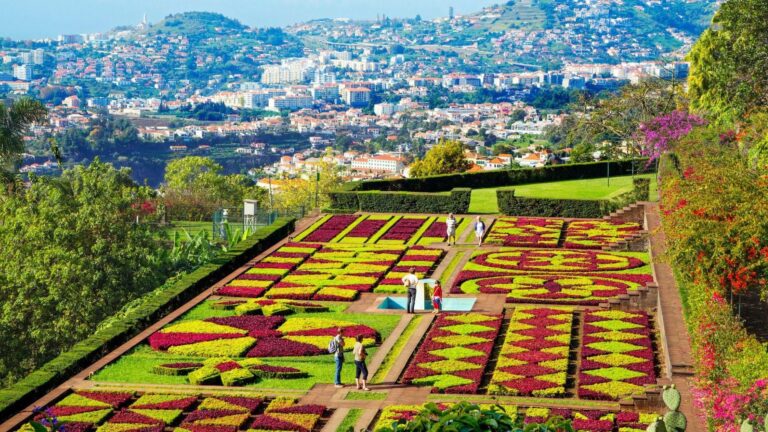 Kelionė automobiliu po Madeirą