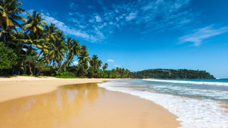 Kelionė į Šri Lanką – Taprobana 5*