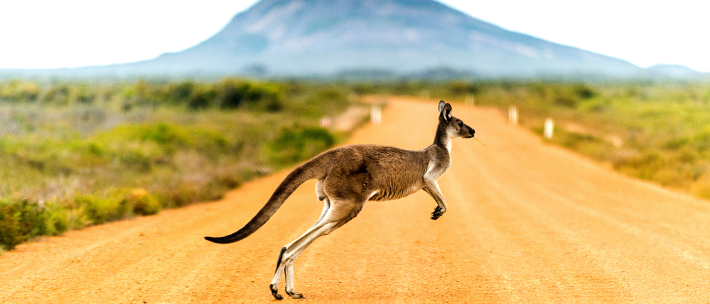 Australija ir Okeanija